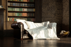 Элитное одеяло верблюжье 200х220 German Grass Camel