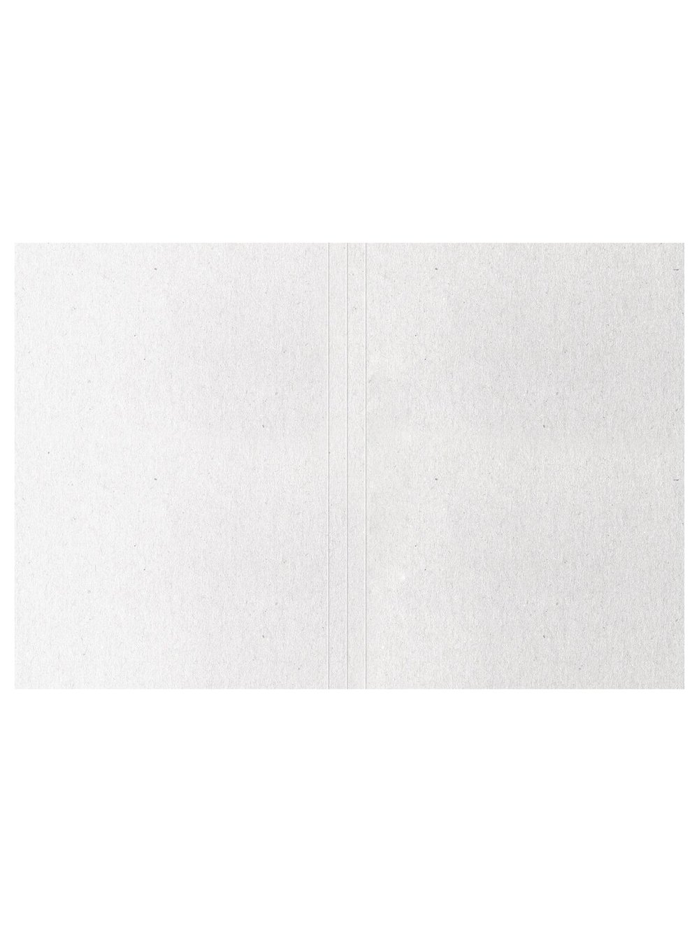 Папка-обложка Дело картон до 200листов 10 штук