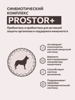 Сухой полнорационный корм для взрослых собак, Мясной рацион ТМ SIRIUS (2 кг)
