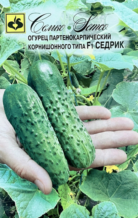 Огурец Седрик F1 Семко