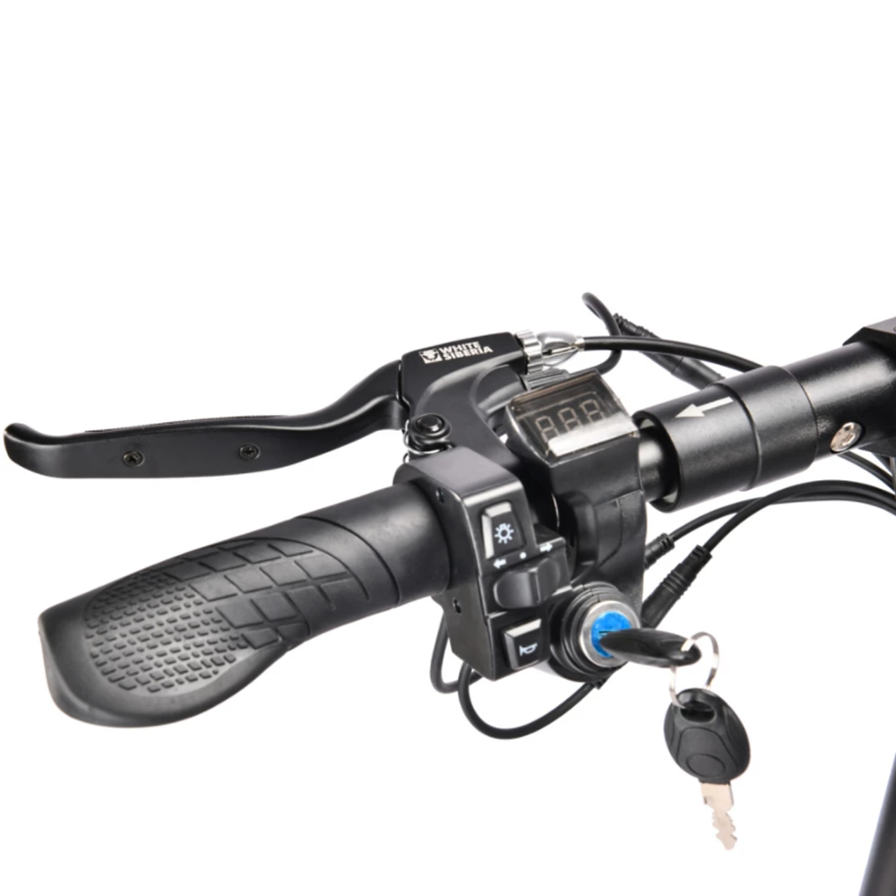 Электросамокат WHITE SIBERIA LUNA 800W (УЦЕНЕННЫЙ)