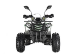 Квадроцикл Wels THUNDER EVO LUX X 125