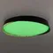 CL754451G BONNY Черный+Клен LED Св-к с пультом