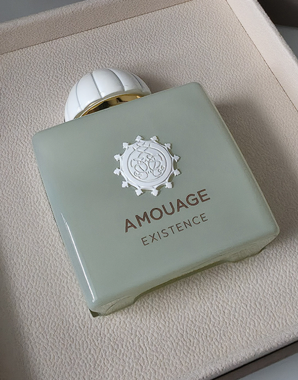 Amouage Existence 100ml (Коробка парфюма без слюды, парфюм новый, распаковка для фото)
