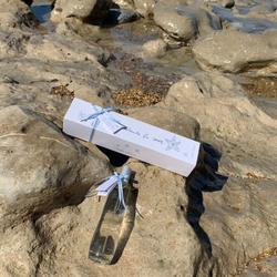 Диффузор-спрей J'Entends La Mer (100 мл)