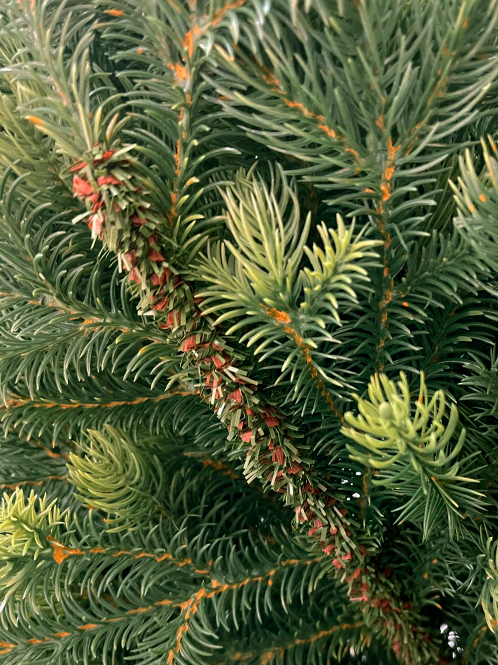 Ель TreeDeLuxe Кремлевская премиум 100% литая 260см зеленая