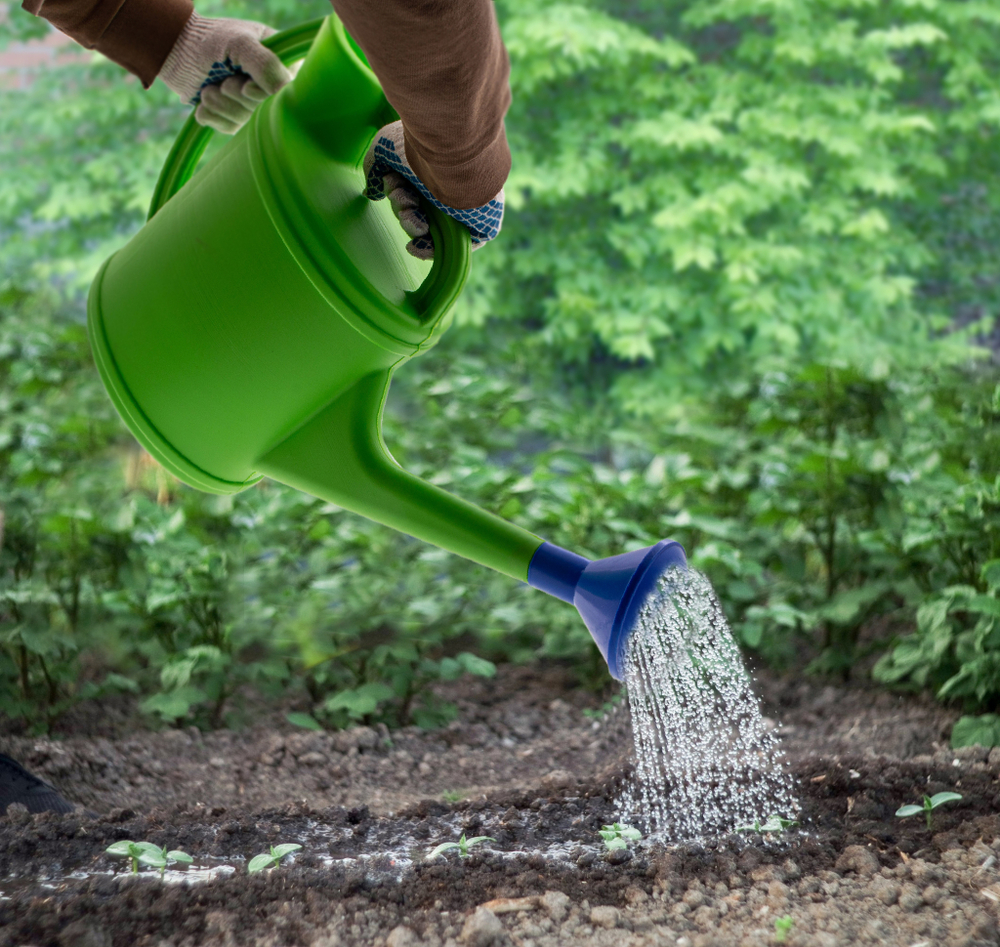 Лейка садовая, 10 л, с горловиной, пластмассовая Россия Сибртех