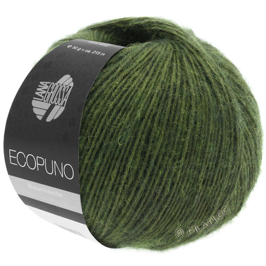 Ecopuno
