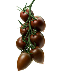 Индира семена томата коктельного сливовидного (Гавриш)