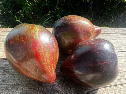 Томат Восставший звездный истребитель (Mi 1011) 5шт (чп)