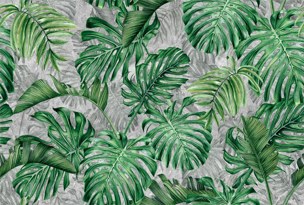 Коллекция SELVA