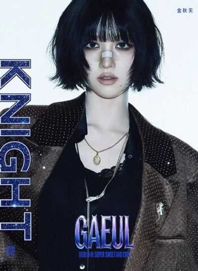 (ПРЕДЗАКАЗ) публикация KNIGHT (CHINA) - 2026.04 GAEUL B Type