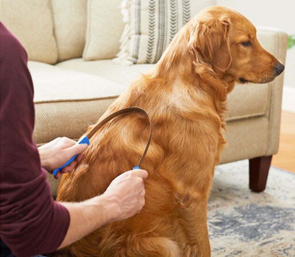 Триммер для собак Wahl 2999-7170 - 4