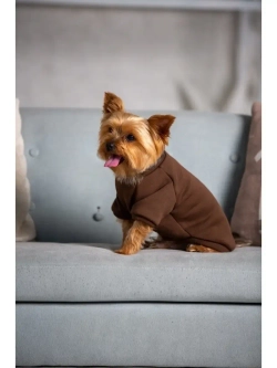 Толстовка худи кофта свитер для собак кошек и  животных