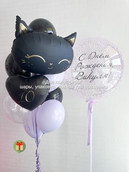 Сфера с кошкой