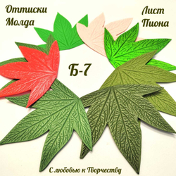 Молд Б-7