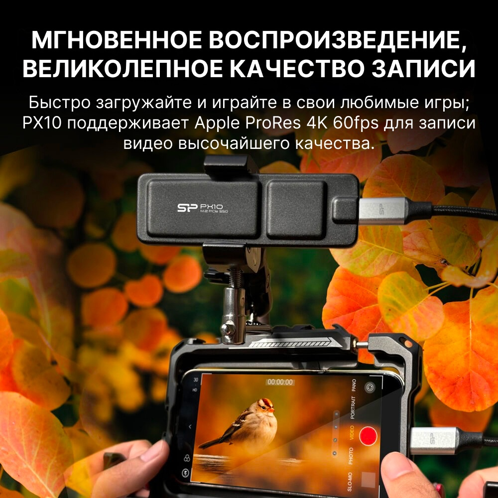 SSD Silicon Power SP010TBPSDPX10CK 1000 Гб