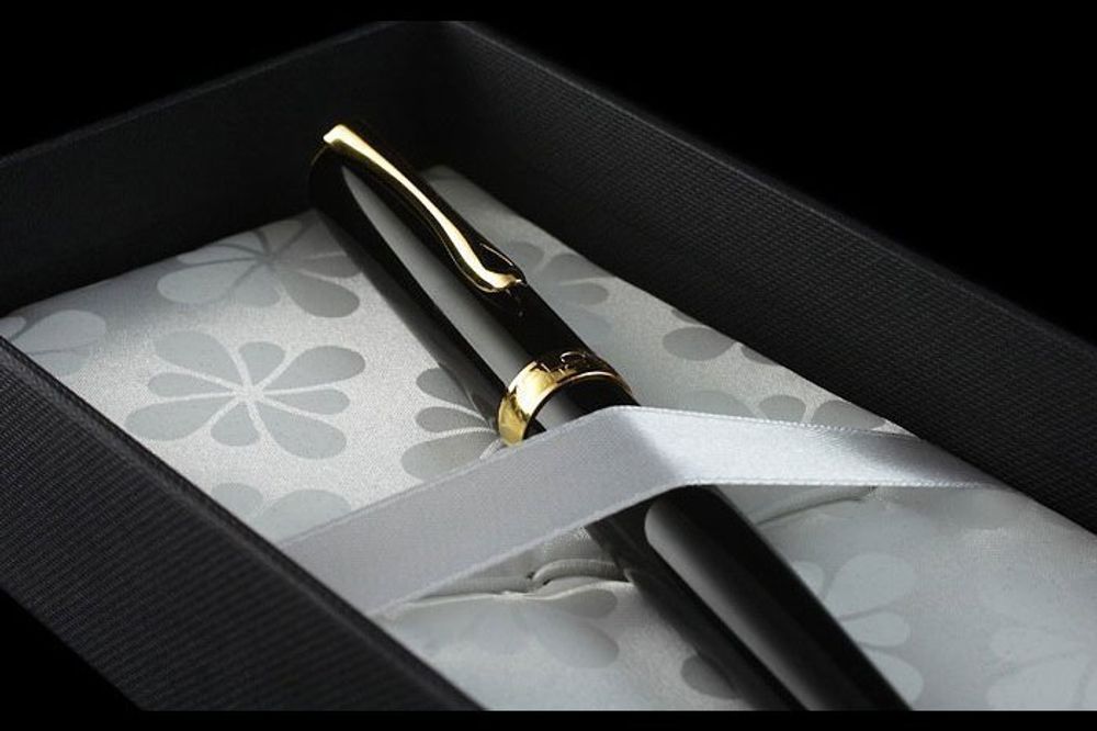 Ручка-роллер Diplomat Excellence (D20000065) 2