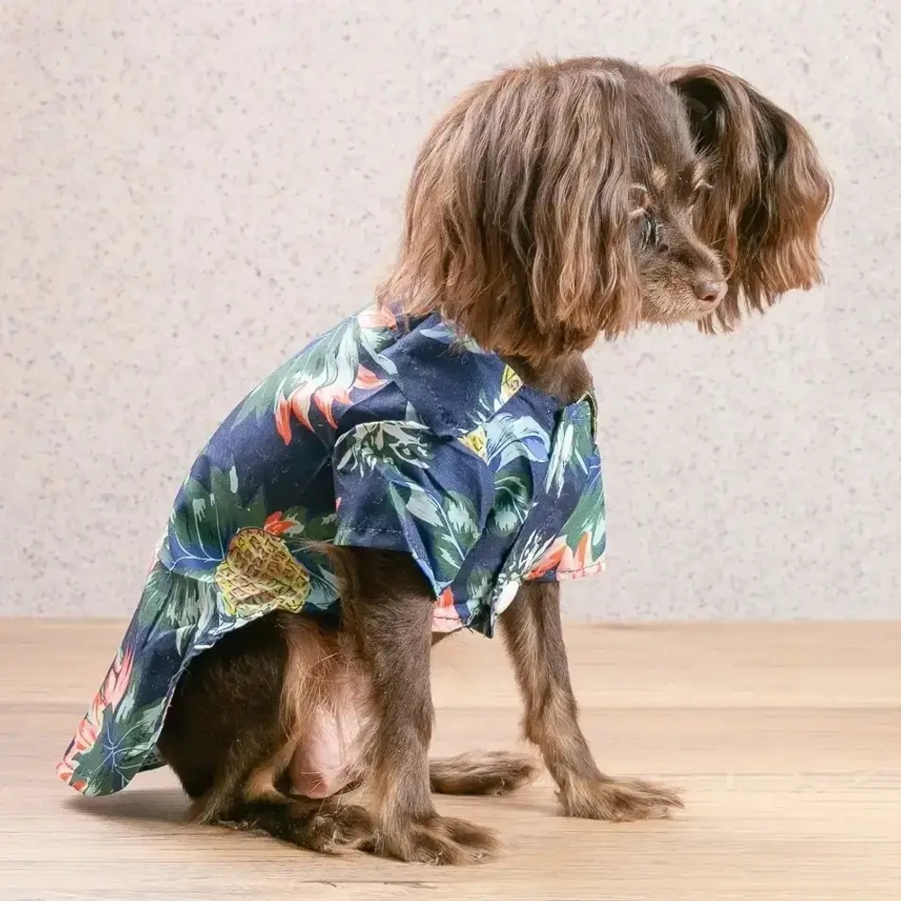 Рубашка для собак и кошек малых и средних пород «СТИЛЬНЫЙ БРО», цвет синий, принт ананасы с цветами, размер XL