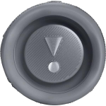 JBL Flip 6 Gray