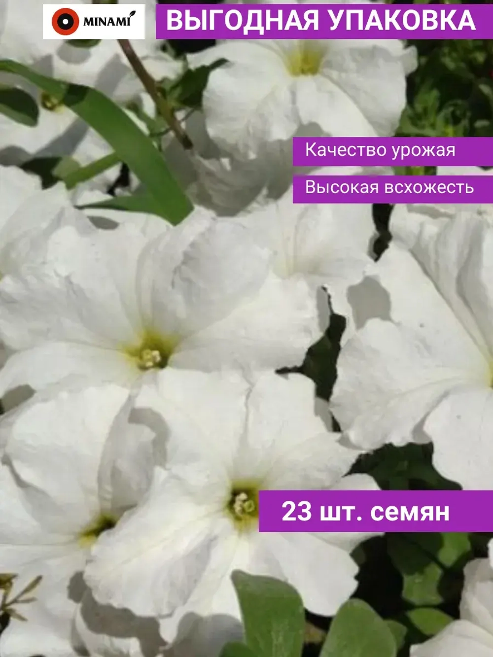 Петуния грандифлора Суперкаскад F1 Вайт