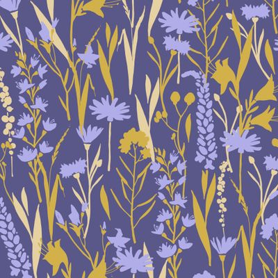 Луговые цветы