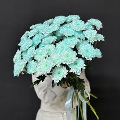 Букет из голубых хризантем