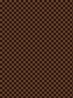 Наволочка комплект 2шт Сказка "Roger" 70х70 см, поплин