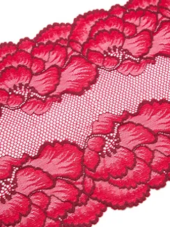03-250 Кружево эластичное 22 см, красный