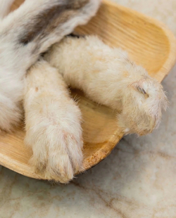 Комплект из лапок и ушей кролика