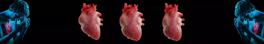 Что такое аритмия? Виды нарушений ритма сердца