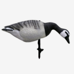 Белощекая казарка SuperXPE 12 шт.