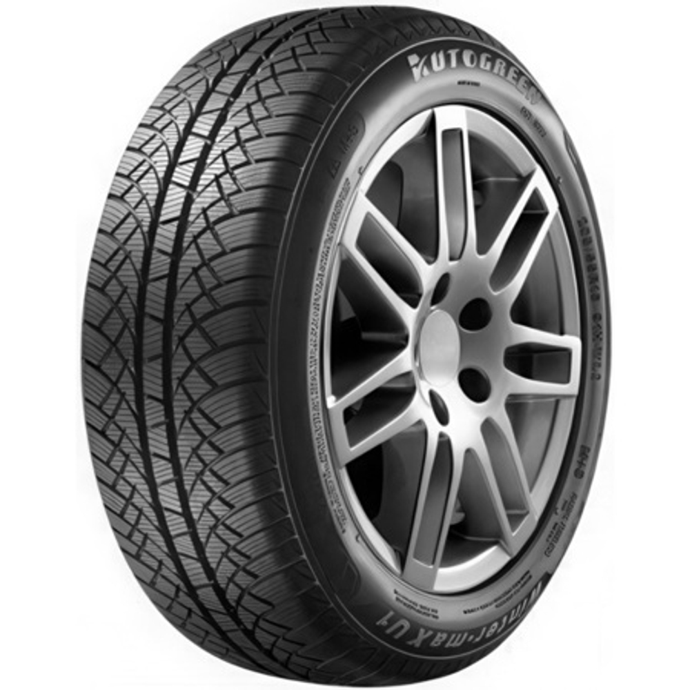 Зимняя шина Autogreen WL2 (195/60 R15 88T)