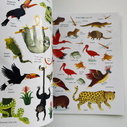 First Sticker Book. Jungle.