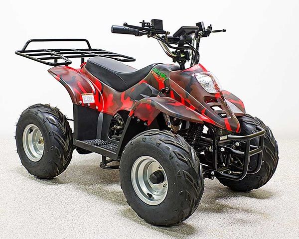 Электроквадроцикл GreenCamel Гоби K70 (36V 800W R7 Дифференциал) фото №2