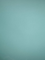 Шкаф для одежды 80х55х170, Марм, распашной, прихожую, спальню, двухдверный, с деревянной штангой, зеленый самшит, Dipriz