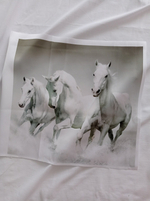 Панель (Армани-шелк дублир-й). Кино №1