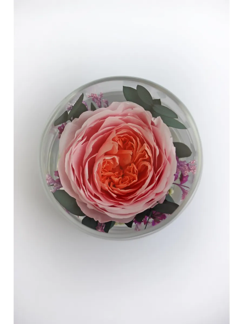 натуральный пион в стекле, вакуум*