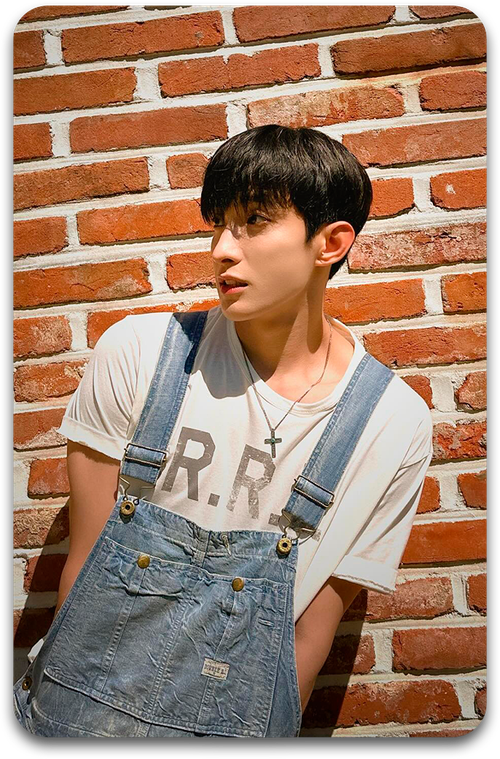 Карта #3877 / DK (SEVENTEEN)