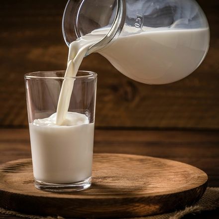 Молочные продукты