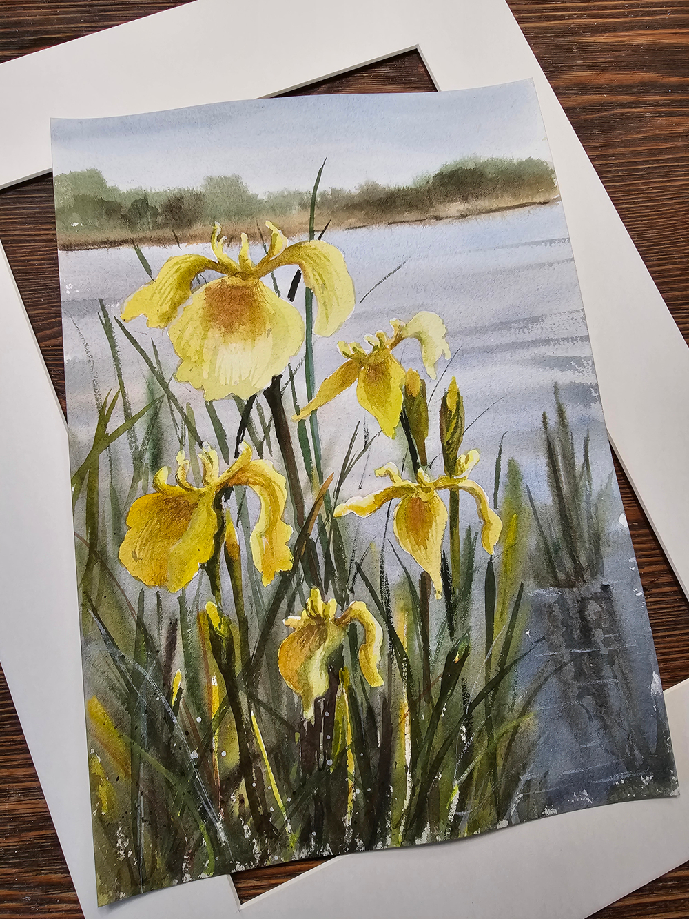 Картина авторская акварельная в паспарту 30х40 см на стену для интерьера "Прибрежные ирисы"