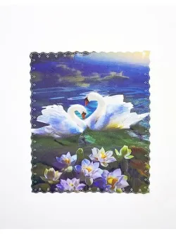 футляр для очков