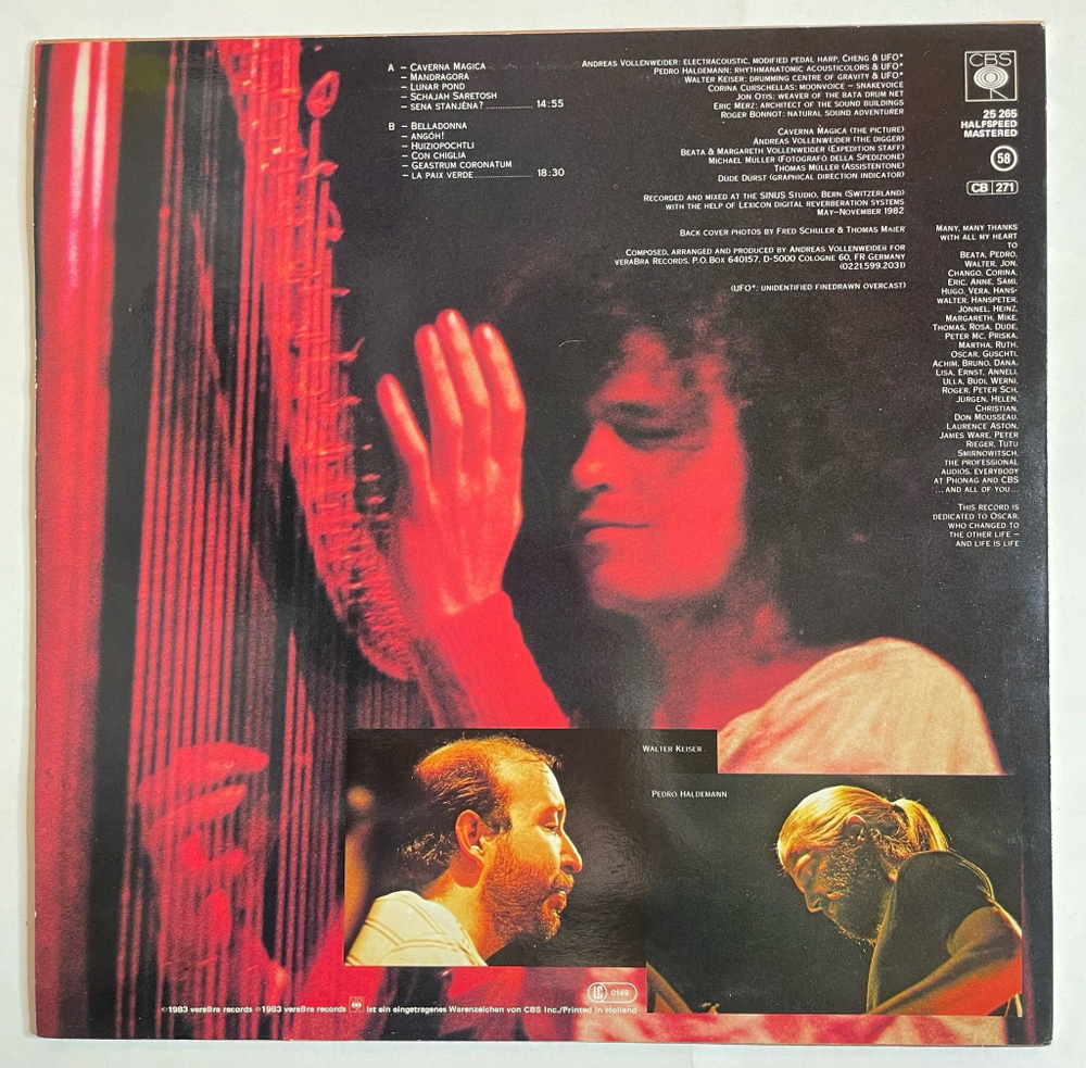 Винтажная виниловая пластинка LP Andreas Vollenweider Caverna Magica Under The Tree In The Cave (Holland 1983)