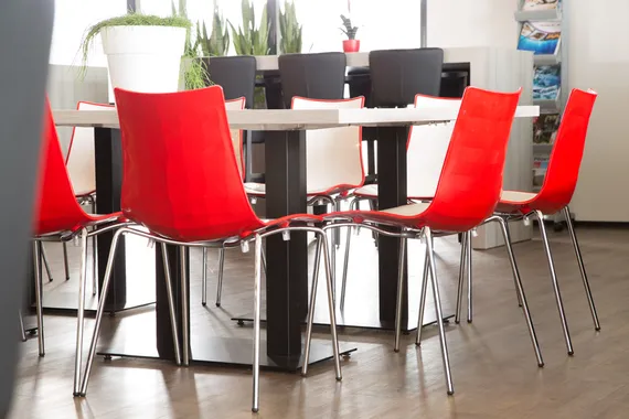 Zebra Bicolore 4 legs