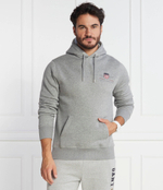 Худи REG Gant - серый(2047084)