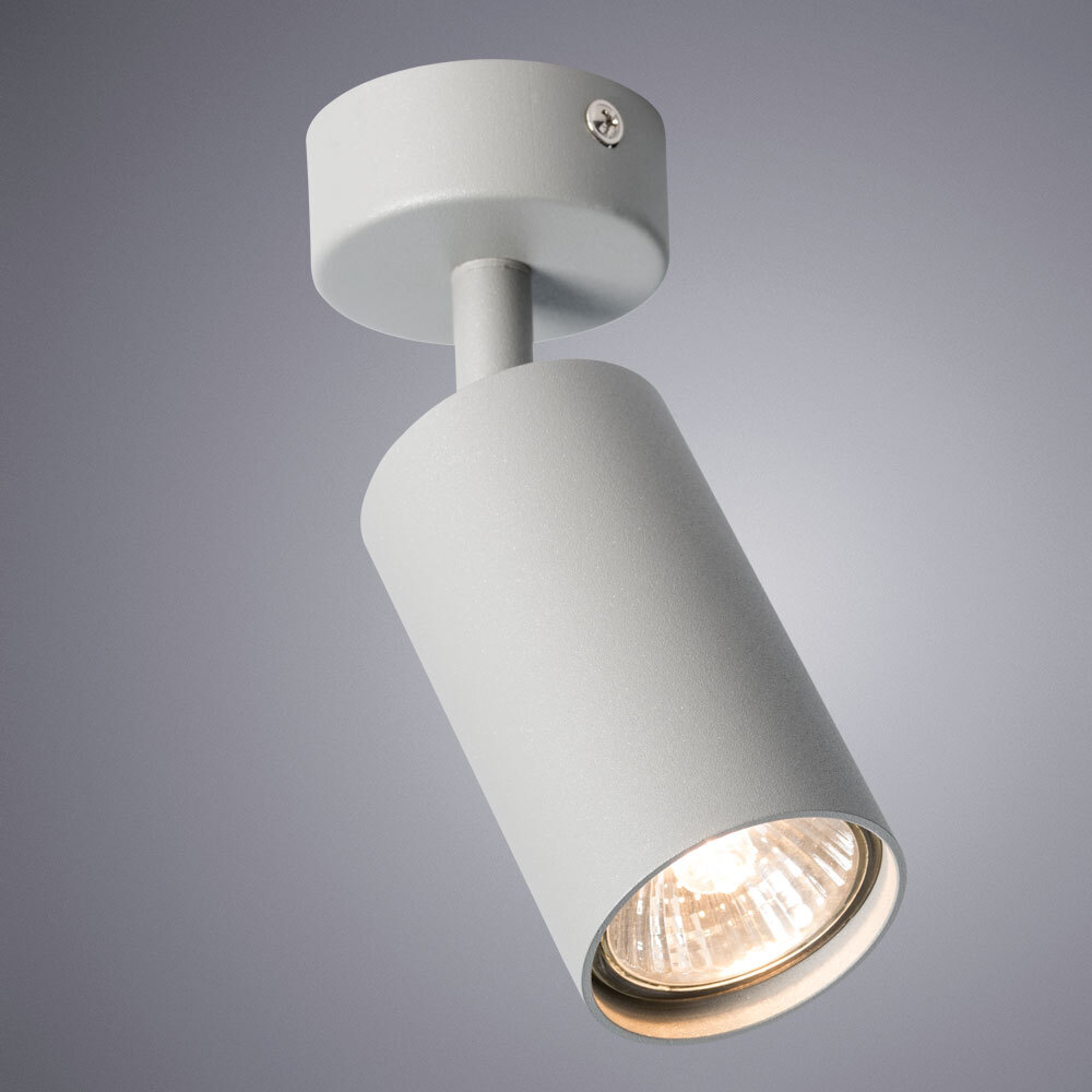 Светильник потолочный Arte Lamp Aquarius A3216PL-1GY