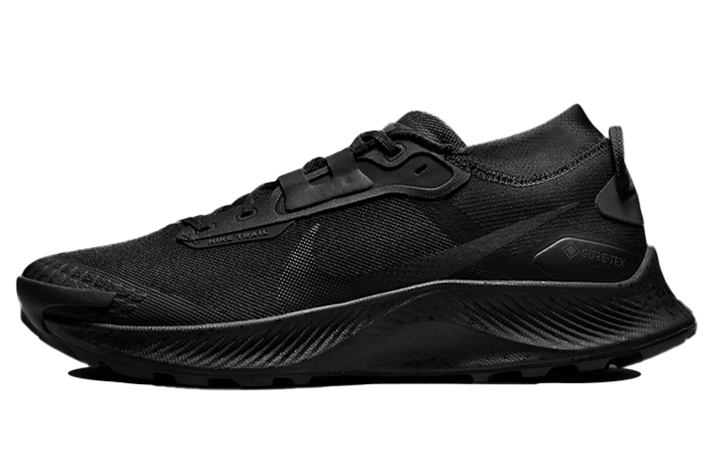 Кроссовки Nike Pegasus Trail 3 Gore-Tex "Black"