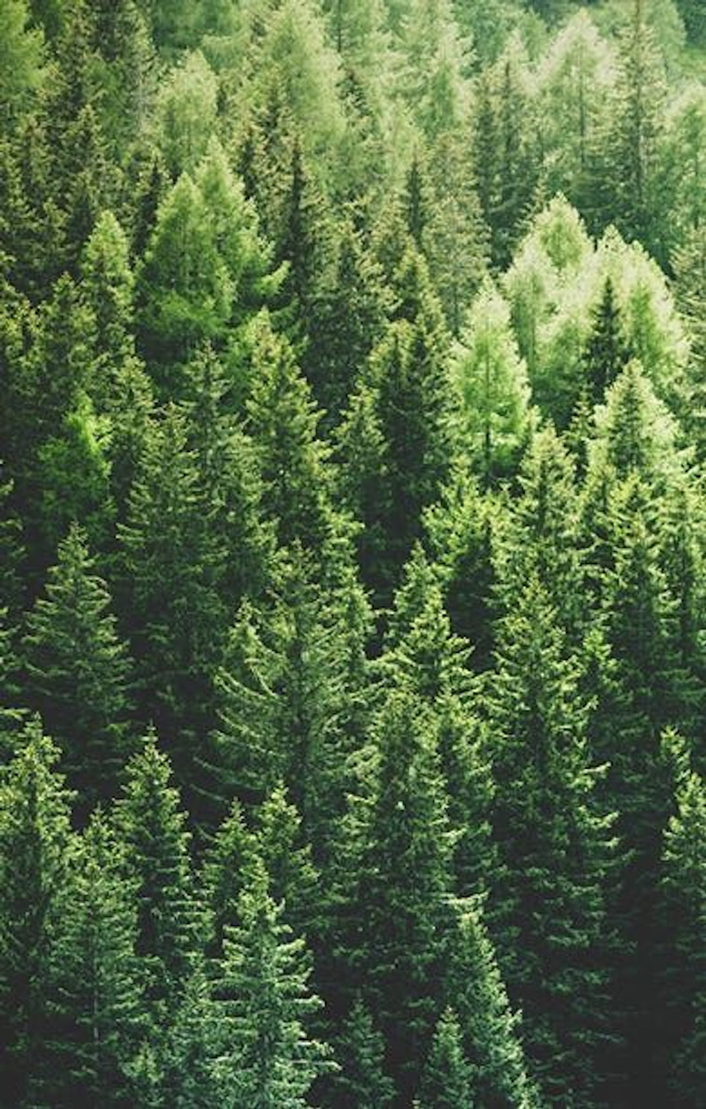 Dr. Vranjes Terra спрей ароматизатор воздуха (аромат Земля)