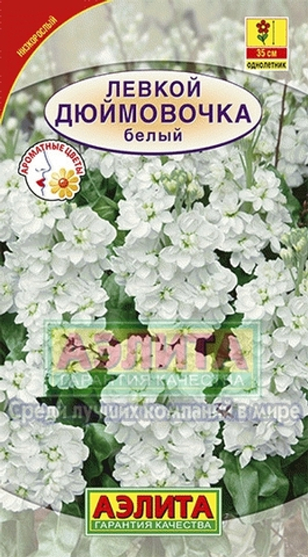 Левкой карликовый Дюймовочка белый 0,1гр Аэлита