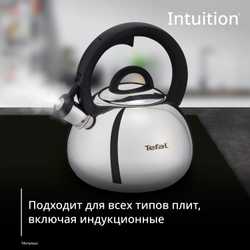 Чайник для плиты Tefal Intuition 2.5 л N4180317